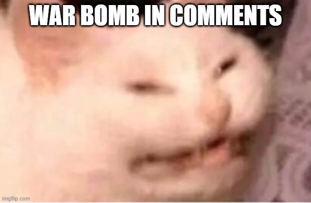 wor bomb? | WAR BOMB IN COMMENTS | image tagged in e w | made w/ Imgflip meme maker