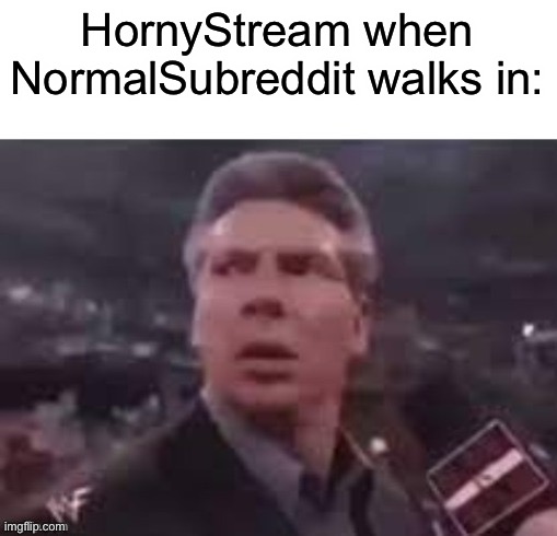 x when x walks in | HornyStream when NormalSubreddit walks in: | image tagged in x when x walks in | made w/ Imgflip meme maker
