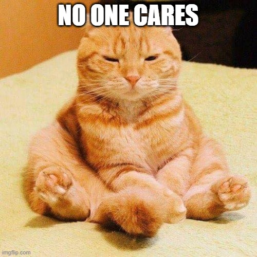 chonky cat | NO ONE CARES | image tagged in chonky cat | made w/ Imgflip meme maker