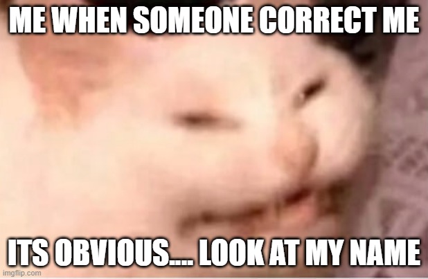 :/ | ME WHEN SOMEONE CORRECT ME; ITS OBVIOUS.... LOOK AT MY NAME | image tagged in e w,memes,msmg,msmsmemmememememsme | made w/ Imgflip meme maker