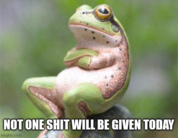 Not one shit | NOT ONE SHIT WILL BE GIVEN TODAY | image tagged in frog crossed arms | made w/ Imgflip meme maker