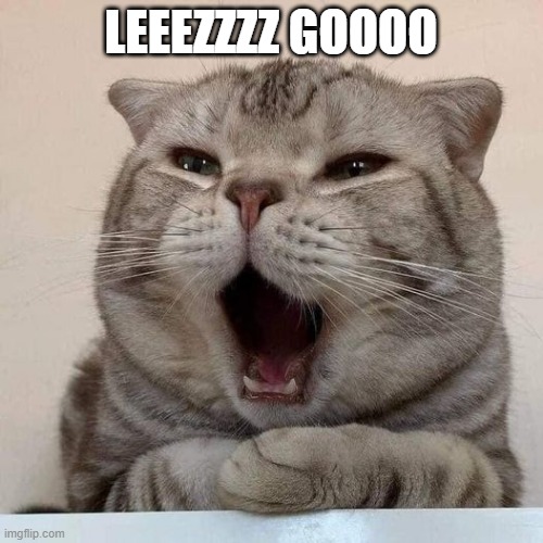 :O | LEEEZZZZ GOOOO | image tagged in o | made w/ Imgflip meme maker