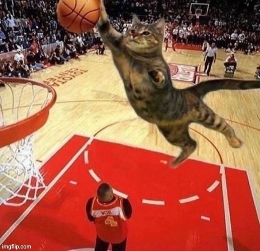 cat ballin | made w/ Imgflip meme maker