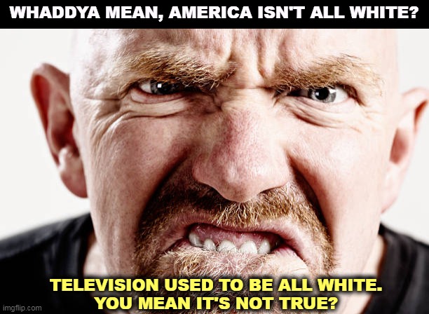 Delusional white supremacist. | WHADDYA MEAN, AMERICA ISN'T ALL WHITE? TELEVISION USED TO BE ALL WHITE.
YOU MEAN IT'S NOT TRUE? | image tagged in ugly old republican guy angry at nothing all the time,america,diversity,white,delusional | made w/ Imgflip meme maker