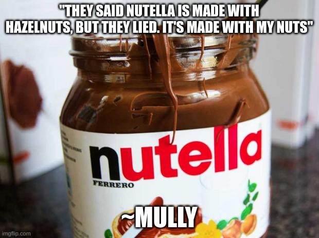 ngl, I love nutella, could've gone my whole life without knowing that | "THEY SAID NUTELLA IS MADE WITH HAZELNUTS, BUT THEY LIED. IT'S MADE WITH MY NUTS"; ~MULLY | image tagged in nutella | made w/ Imgflip meme maker