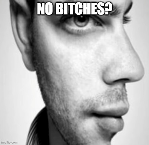 no bitches? | NO BITCHES? | image tagged in no bitches | made w/ Imgflip meme maker