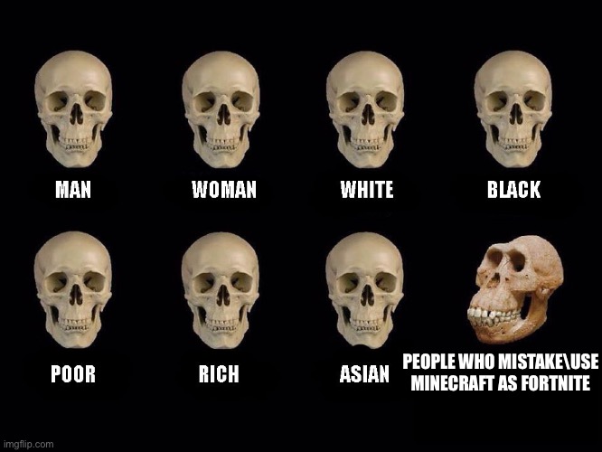 empty skulls of truth | PEOPLE WHO MISTAKE\USE MINECRAFT AS FORTNITE | image tagged in empty skulls of truth | made w/ Imgflip meme maker