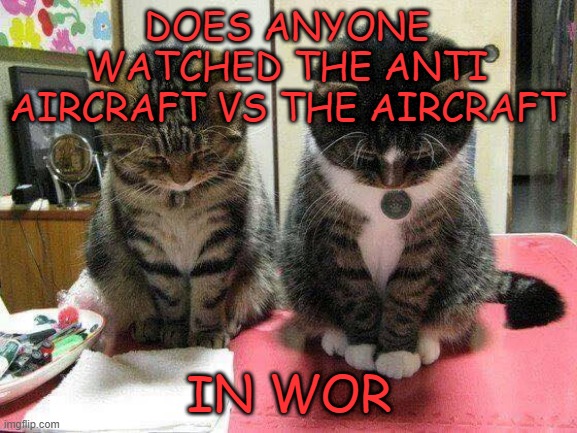 :( | DOES ANYONE WATCHED THE ANTI AIRCRAFT VS THE AIRCRAFT; IN WOR | image tagged in bow cat,memes,msmg,mememememe | made w/ Imgflip meme maker