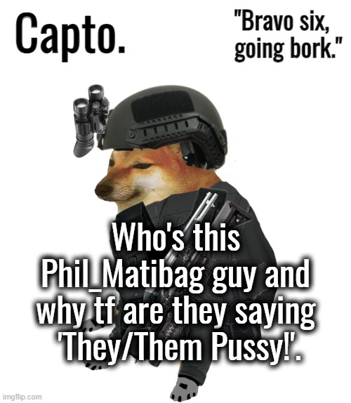 beany really mod abused at this | Who's this Phil_Matibag guy and why tf are they saying  'They/Them Pussy!'. | image tagged in tactical cheems | made w/ Imgflip meme maker