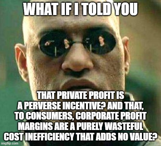 This Meme Melts Ted Cruz's Brain | WHAT IF I TOLD YOU; THAT PRIVATE PROFIT IS A PERVERSE INCENTIVE? AND THAT, TO CONSUMERS, CORPORATE PROFIT MARGINS ARE A PURELY WASTEFUL COST INEFFICIENCY THAT ADDS NO VALUE? | image tagged in what if i told you,capitalism,corporate greed,waste of money,economics,ted cruz | made w/ Imgflip meme maker