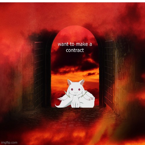 contract | image tagged in cat,anime | made w/ Imgflip meme maker