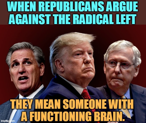 Republicans are suspicious of thinking. They do it so seldom. | WHEN REPUBLICANS ARGUE AGAINST THE RADICAL LEFT; THEY MEAN SOMEONE WITH 
A FUNCTIONING BRAIN. | image tagged in mccarthy trump mcconnell evil bad for america,trump,mitch mcconnell,republican,empty,head | made w/ Imgflip meme maker