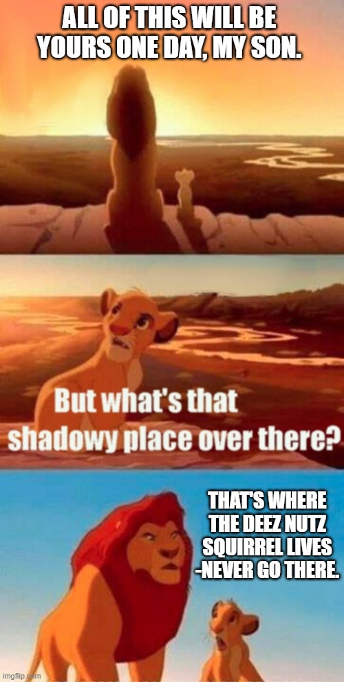 Simba Shadowy Place | ALL OF THIS WILL BE YOURS ONE DAY, MY SON. THAT'S WHERE THE DEEZ NUTZ SQUIRREL LIVES -NEVER GO THERE. | image tagged in memes,simba shadowy place | made w/ Imgflip meme maker