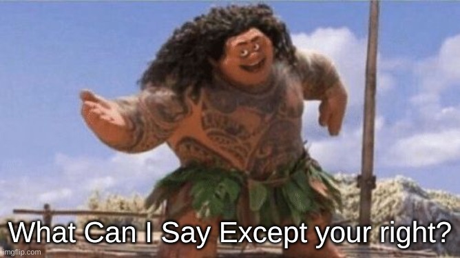 What Can I Say Except X? | What Can I Say Except your right? | image tagged in what can i say except x | made w/ Imgflip meme maker