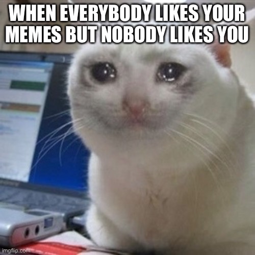 Crying cat | WHEN EVERYBODY LIKES YOUR MEMES BUT NOBODY LIKES YOU | image tagged in crying cat | made w/ Imgflip meme maker