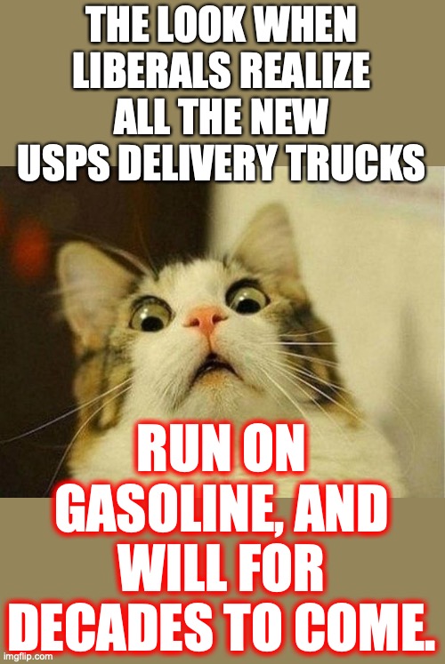 There have to be at least a few sane government employees. | THE LOOK WHEN LIBERALS REALIZE ALL THE NEW USPS DELIVERY TRUCKS; RUN ON GASOLINE, AND WILL FOR DECADES TO COME. | image tagged in 2022,usps,mail,trucks,liberals,hypocrites | made w/ Imgflip meme maker