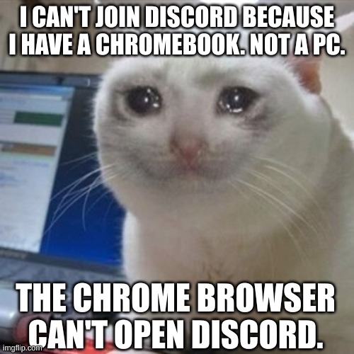 I just can't. | I CAN'T JOIN DISCORD BECAUSE I HAVE A CHROMEBOOK. NOT A PC. THE CHROME BROWSER CAN'T OPEN DISCORD. | image tagged in crying cat | made w/ Imgflip meme maker