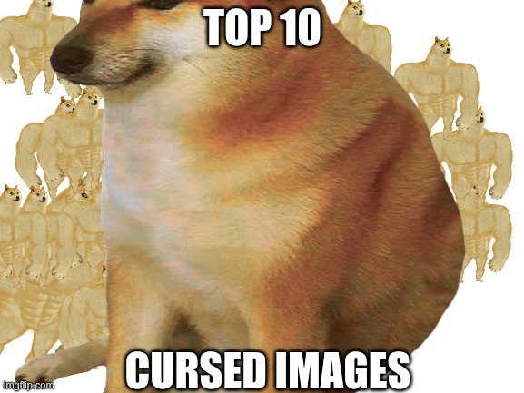 cursed | TOP 10; CURSED IMAGES | image tagged in cheems,swole,doge,wow your actually reading these tags | made w/ Imgflip meme maker