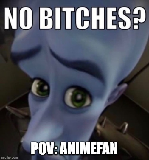 no bitches | POV: ANIMEFAN | image tagged in no bitches | made w/ Imgflip meme maker