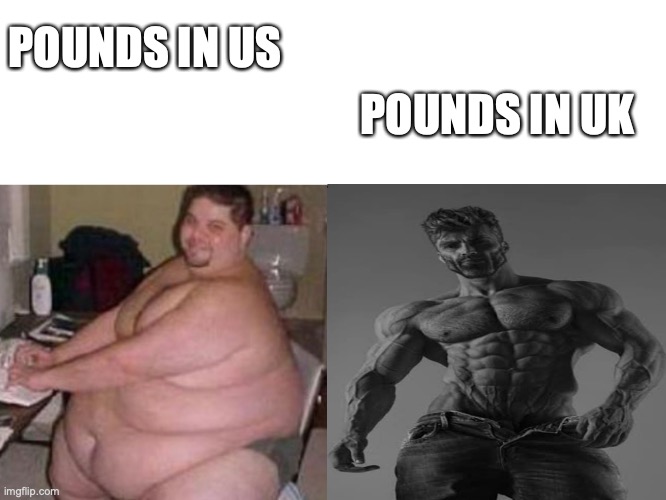 yes | POUNDS IN UK; POUNDS IN US | image tagged in fat man vs chad | made w/ Imgflip meme maker