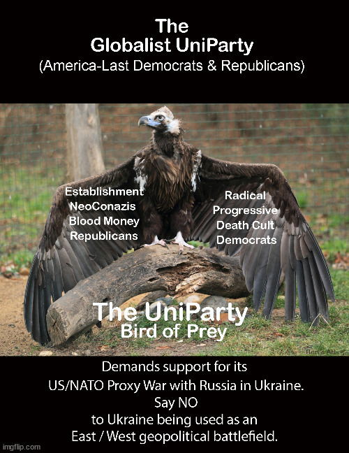 The Globalist UniParty demands your support to use Ukraine as cannon fodder in its proxy war w/ Russia | image tagged in memes,political | made w/ Imgflip meme maker