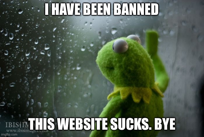 kermit window | I HAVE BEEN BANNED; THIS WEBSITE SUCKS. BYE | image tagged in kermit window | made w/ Imgflip meme maker
