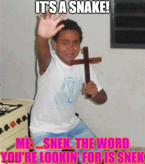 lol | IT'S A SNAKE! ME: ...SNEK. THE WORD YOU'RE LOOKIN' FOR IS SNEK | image tagged in scared kid | made w/ Imgflip meme maker