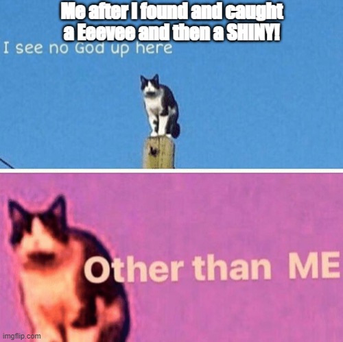 yesssssssssssssssssssssssssss! | Me after I found and caught a Eeevee and then a SHINY! | image tagged in hail pole cat | made w/ Imgflip meme maker