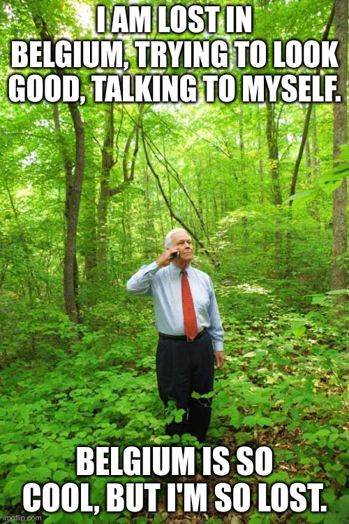 Lost in the Woods |  I AM LOST IN BELGIUM, TRYING TO LOOK GOOD, TALKING TO MYSELF. BELGIUM IS SO COOL, BUT I'M SO LOST. | image tagged in lost in the woods | made w/ Imgflip meme maker