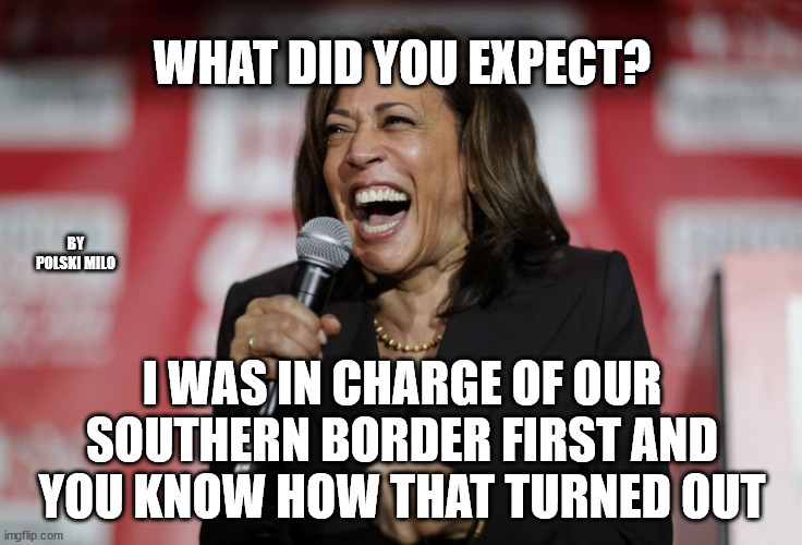 kamala | WHAT DID YOU EXPECT? BY POLSKI MILO; I WAS IN CHARGE OF OUR SOUTHERN BORDER FIRST AND YOU KNOW HOW THAT TURNED OUT | image tagged in political humor | made w/ Imgflip meme maker