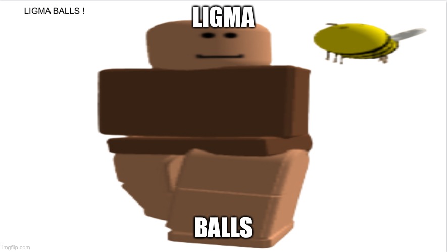 E | LIGMA; BALLS | image tagged in e | made w/ Imgflip meme maker