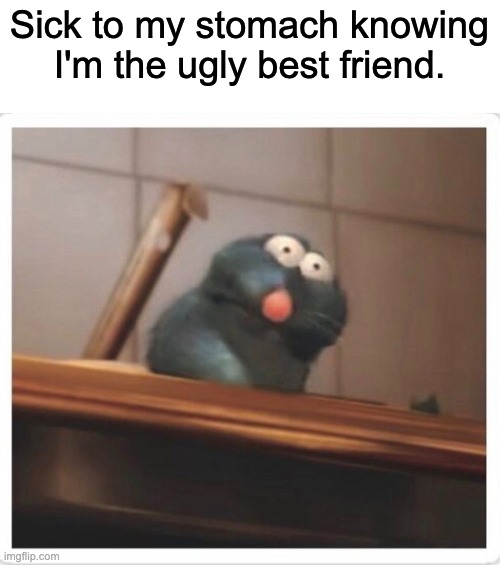 Oof... | Sick to my stomach knowing I'm the ugly best friend. | image tagged in ain't ever seen two prtty best friends | made w/ Imgflip meme maker