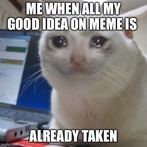 Just why!?!. | ME WHEN ALL MY GOOD IDEA ON MEME IS; ALREADY TAKEN | image tagged in crying cat | made w/ Imgflip meme maker