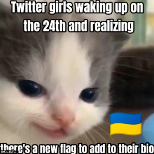 ඞ | made w/ Imgflip meme maker