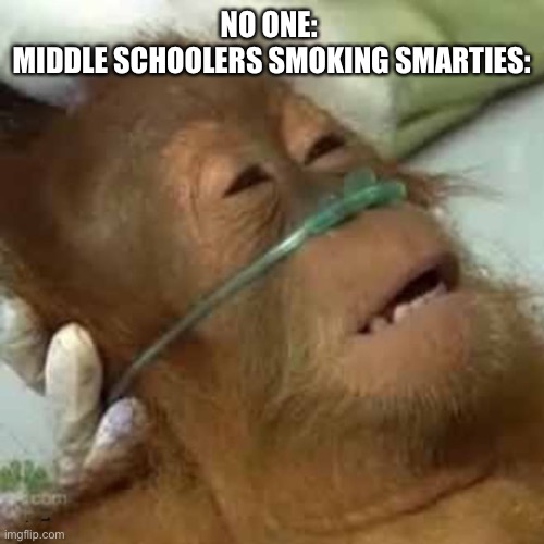 Ur Gonna Get Sugar In Ur Lungs Dont Do It | NO ONE: 
MIDDLE SCHOOLERS SMOKING SMARTIES: | image tagged in monke | made w/ Imgflip meme maker
