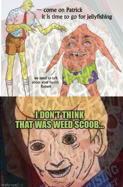 It's time to stop | I DON'T THINK THAT WAS WEED SCOOB... | image tagged in shaggy this isnt weed fred scooby doo,weed,its time to stop,cursed image | made w/ Imgflip meme maker