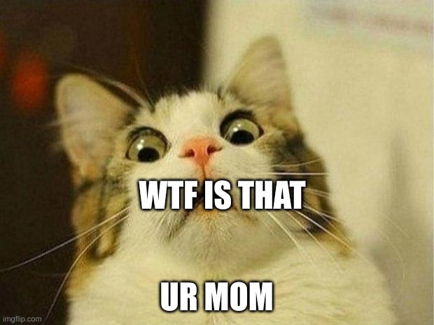 Scared Cat Meme | WTF IS THAT; UR MOM | image tagged in memes,scared cat | made w/ Imgflip meme maker