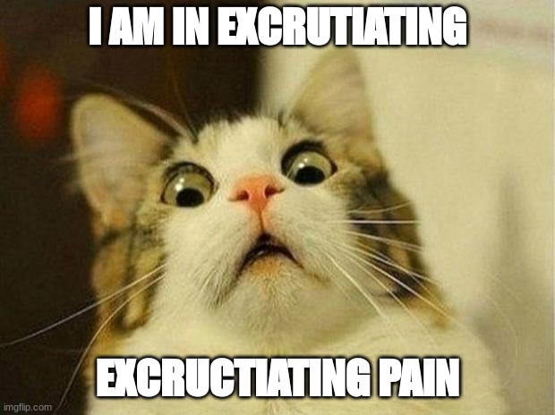 Scared Cat Meme | I AM IN EXCRUTIATING; EXCRUCTIATING PAIN | image tagged in memes,scared cat | made w/ Imgflip meme maker