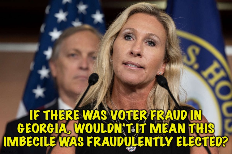 IF THERE WAS VOTER FRAUD IN GEORGIA, WOULDN'T IT MEAN THIS IMBECILE WAS FRAUDULENTLY ELECTED? | image tagged in mtg | made w/ Imgflip meme maker