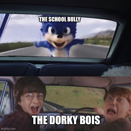 Sonic catching the car | THE SCHOOL BULLY; THE DORKY BOIS | image tagged in sonic catching the car | made w/ Imgflip meme maker