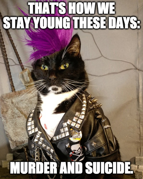 Punckat |  THAT'S HOW WE STAY YOUNG THESE DAYS:; MURDER AND SUICIDE. | image tagged in punk rock,cat,nihilism,anarchy,murder,rebel | made w/ Imgflip meme maker