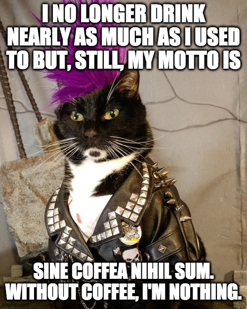 Koffee Kat | I NO LONGER DRINK NEARLY AS MUCH AS I USED TO BUT, STILL, MY MOTTO IS; SINE COFFEA NIHIL SUM. WITHOUT COFFEE, I'M NOTHING. | image tagged in punk rock,coffee addict,coffee,punk,kitty,cat | made w/ Imgflip meme maker