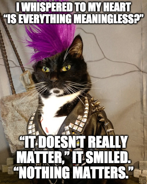Punk Rock Cat |  I WHISPERED TO MY HEART
“IS EVERYTHING MEANINGLESS?”; “IT DOESN’T REALLY MATTER,” IT SMILED. “NOTHING MATTERS.” | image tagged in punk rock,kitty,cat,nihilism,depression | made w/ Imgflip meme maker