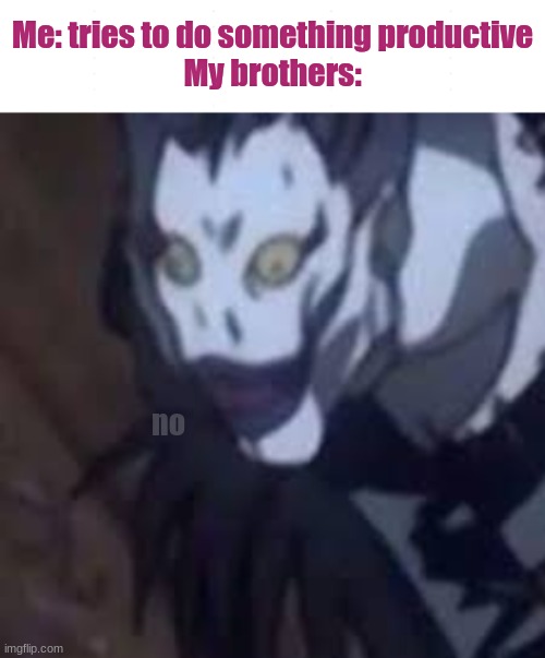 No | Me: tries to do something productive
My brothers:; no | image tagged in no | made w/ Imgflip meme maker