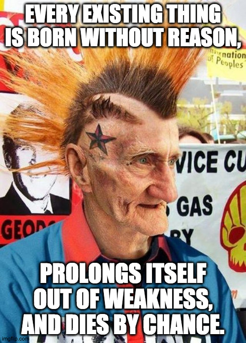 Punk Rock Grandpa | EVERY EXISTING THING IS BORN WITHOUT REASON, PROLONGS ITSELF OUT OF WEAKNESS, AND DIES BY CHANCE. | image tagged in punk grampa,nihilism,the meaning of life,life lessons | made w/ Imgflip meme maker
