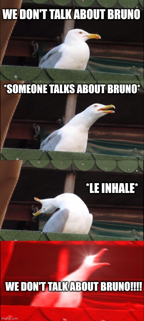 We don't talk about Bruno | WE DON'T TALK ABOUT BRUNO; *SOMEONE TALKS ABOUT BRUNO*; *LE INHALE*; WE DON'T TALK ABOUT BRUNO!!!! | image tagged in memes,inhaling seagull | made w/ Imgflip meme maker