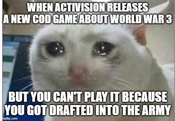 CoD meme #57 |  WHEN ACTIVISION RELEASES A NEW COD GAME ABOUT WORLD WAR 3; BUT YOU CAN'T PLAY IT BECAUSE YOU GOT DRAFTED INTO THE ARMY | image tagged in crying cat,cod,memes,sad,ww3,activision | made w/ Imgflip meme maker