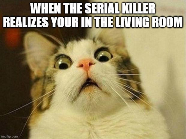 Scared Cat | WHEN THE SERIAL KILLER REALIZES YOUR IN THE LIVING ROOM | image tagged in memes,scared cat | made w/ Imgflip meme maker