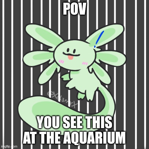 yes axolotl picrew exists no military OCs please | POV; YOU SEE THIS AT THE AQUARIUM | image tagged in axolotl | made w/ Imgflip meme maker