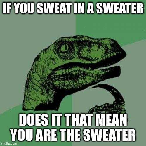 what | IF YOU SWEAT IN A SWEATER; DOES IT THAT MEAN YOU ARE THE SWEATER | image tagged in memes,philosoraptor | made w/ Imgflip meme maker